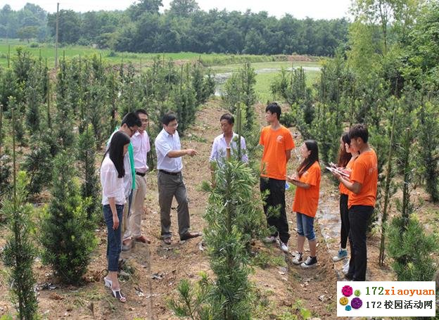 信阳师院社会实践队走进洋河乡村 感受乡村风情